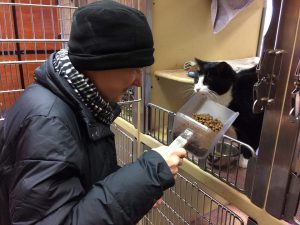 Volunteer feeds cat at PetSmart Northern Ohio