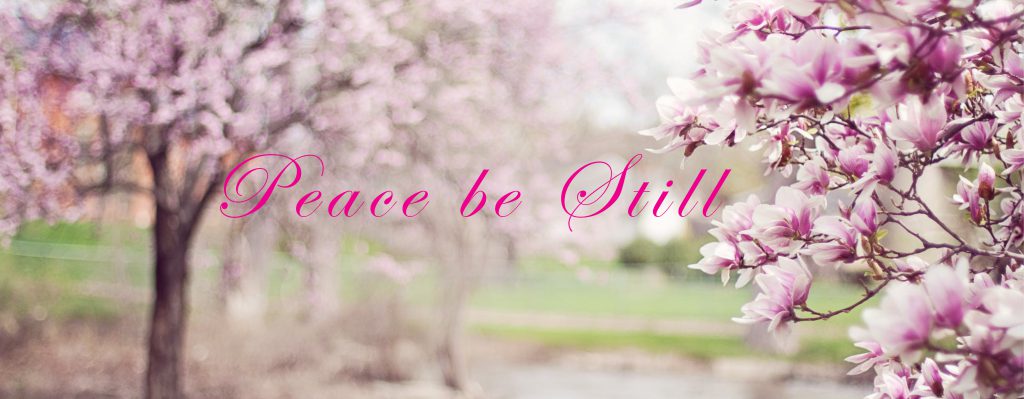 Photo that says Peace be Still