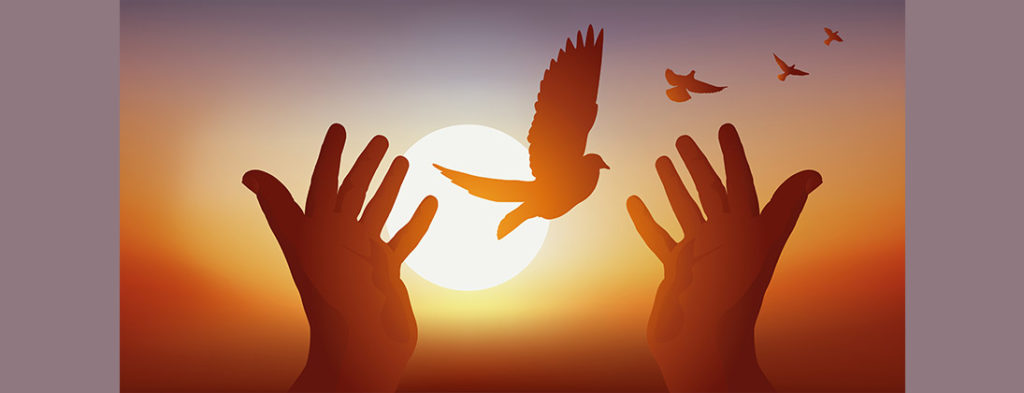 Picture of two hands in the sunset releasing doves to fly freely